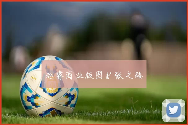 赵睿商业版图扩张之路