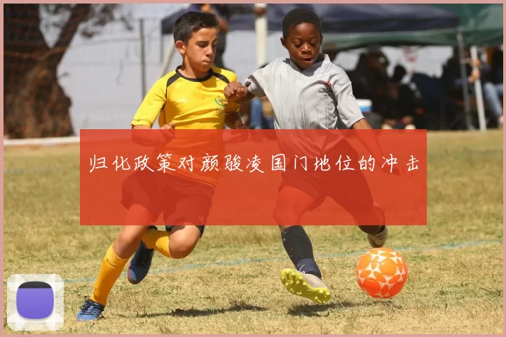 归化政策对颜骏凌国门地位的冲击