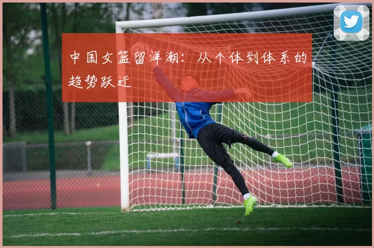 中国女篮留洋潮：从个体到体系的趋势跃迁