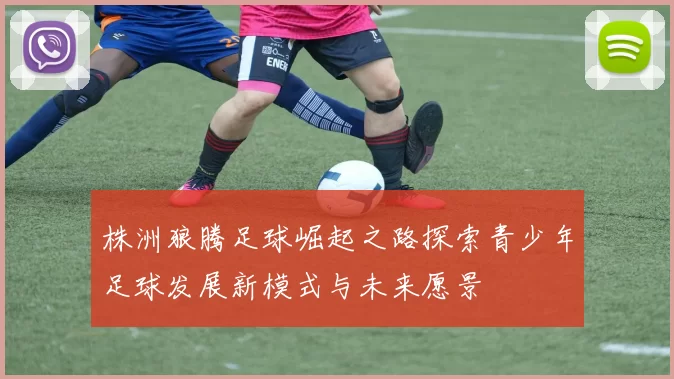 株洲狼腾足球崛起之路探索青少年足球发展新模式与未来愿景